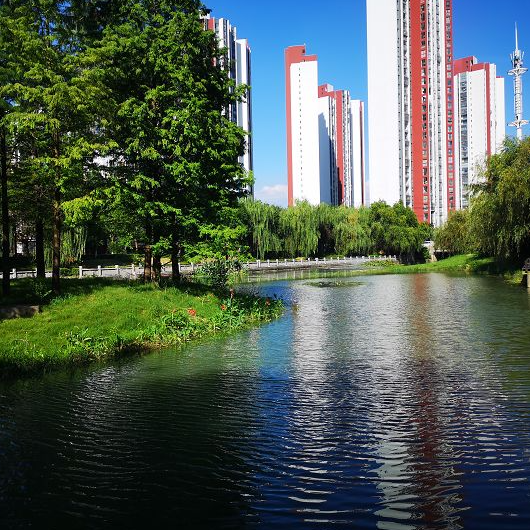 新华日报头条 深度解析1277星际电子游戏水环境综合提升工程